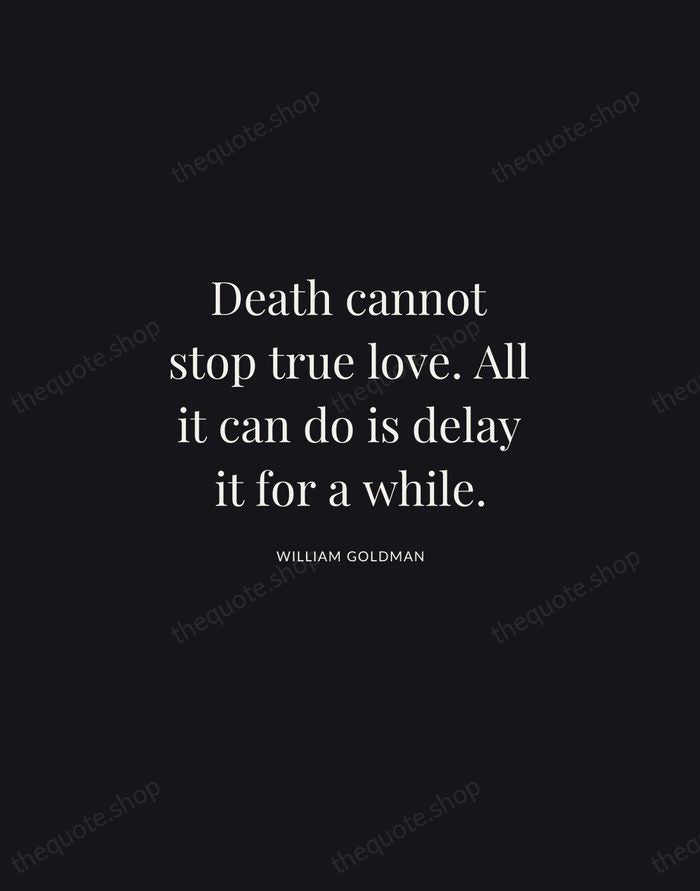 Death cannot stop true love. All it can do is delay it… — William Goldman | Printable Wall Art — Midnight Serif