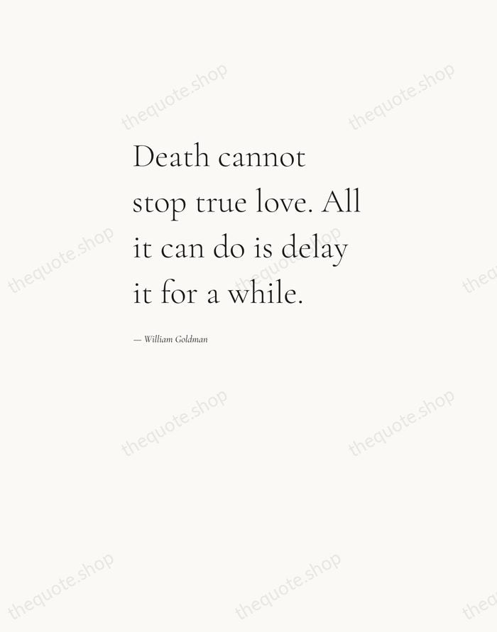 Death cannot stop true love. All it can do is delay it… — William Goldman — Editorial Left Serif