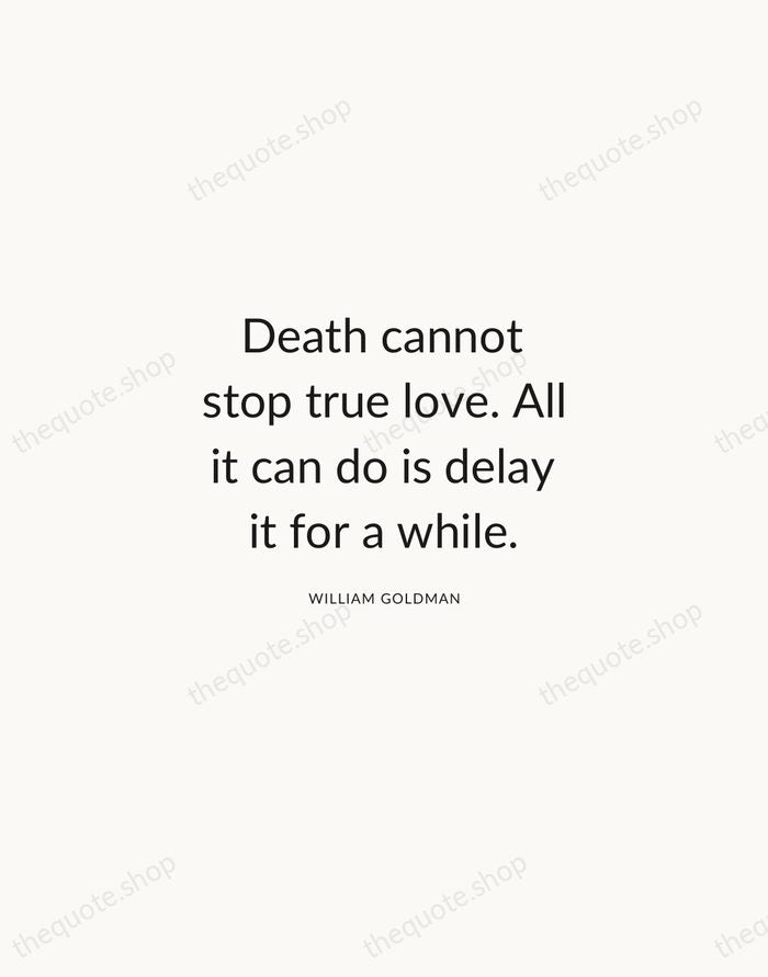 Death cannot stop true love. All it can do is delay it… — William Goldman — Modern Sans Calm