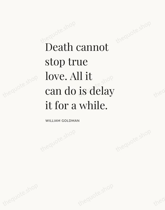 Death cannot stop true love. All it can do is delay it… — William Goldman — Asymmetric Left