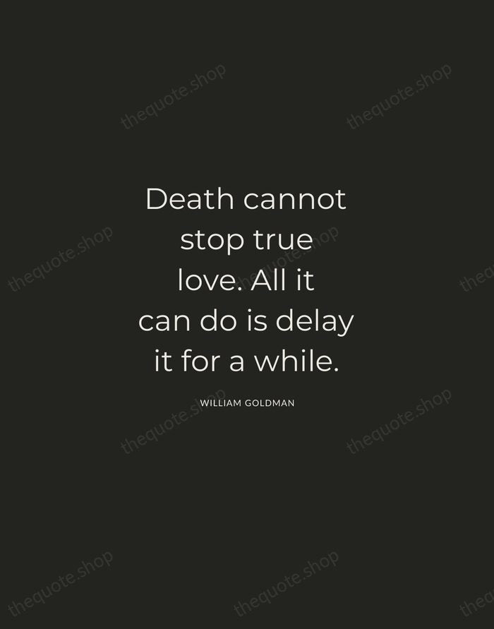 Death cannot stop true love. All it can do is delay it… — William Goldman — Charcoal Sans
