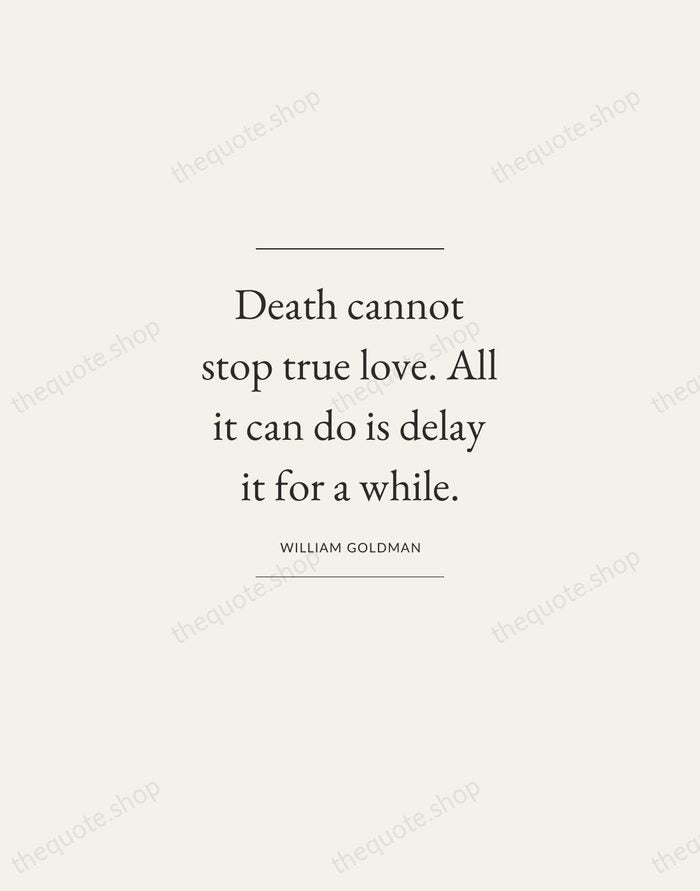 Death cannot stop true love. All it can do is delay it… — William Goldman — Gallery Frame