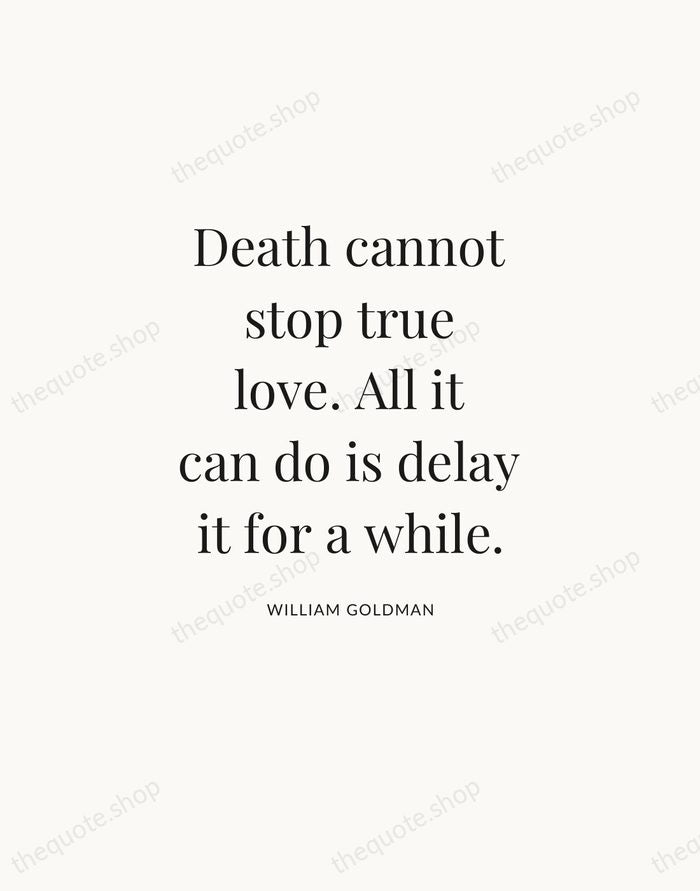 Death cannot stop true love. All it can do is delay it… — William Goldman — Statement Serif