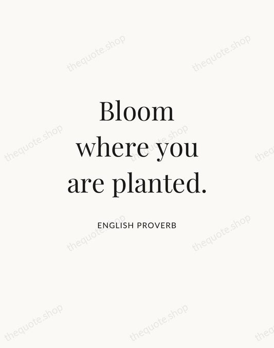 Bloom where you are planted. — English Proverb | Printable Wall Art — Atelier Serif