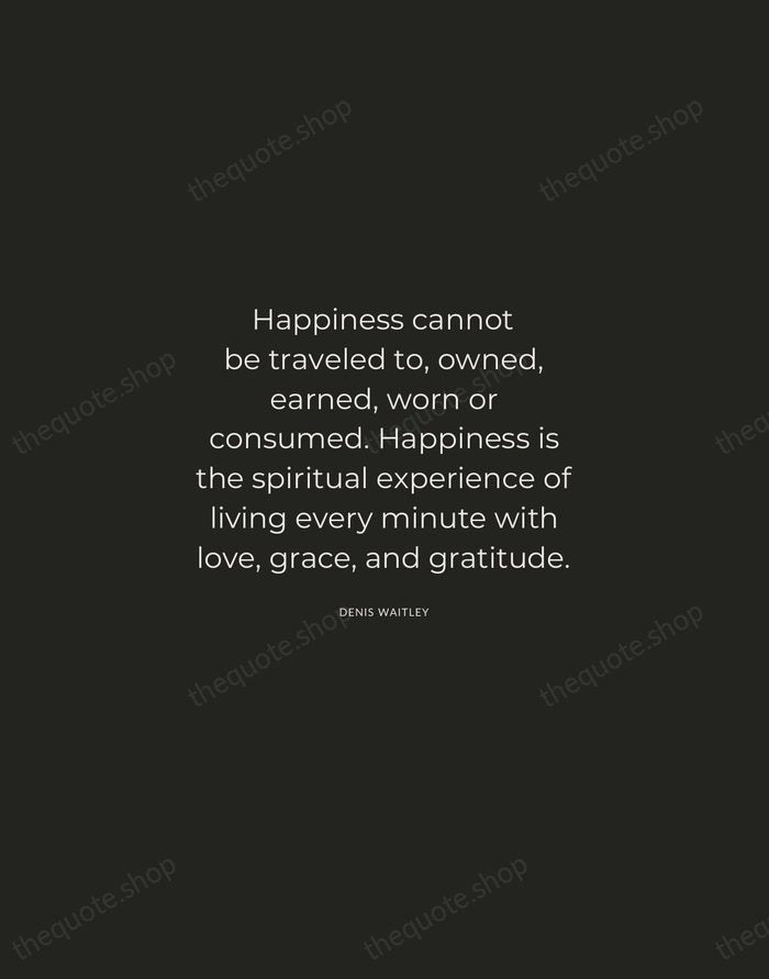 Happiness cannot be traveled to, owned, earned, worn or consumed. Happiness is… — Denis Waitley — Charcoal Sans