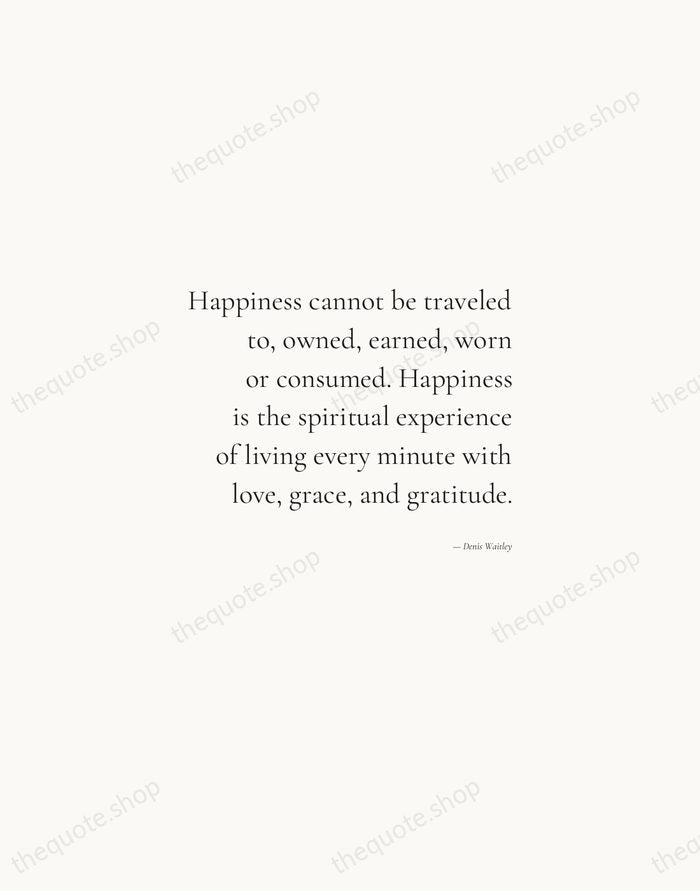 Happiness cannot be traveled to, owned, earned, worn or consumed. Happiness is… — Denis Waitley — Soft Serif Right