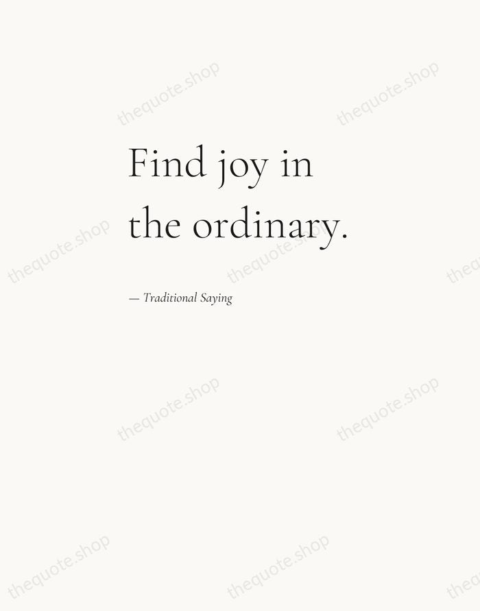 Find joy in the ordinary. — Traditional Saying — Editorial Left Serif