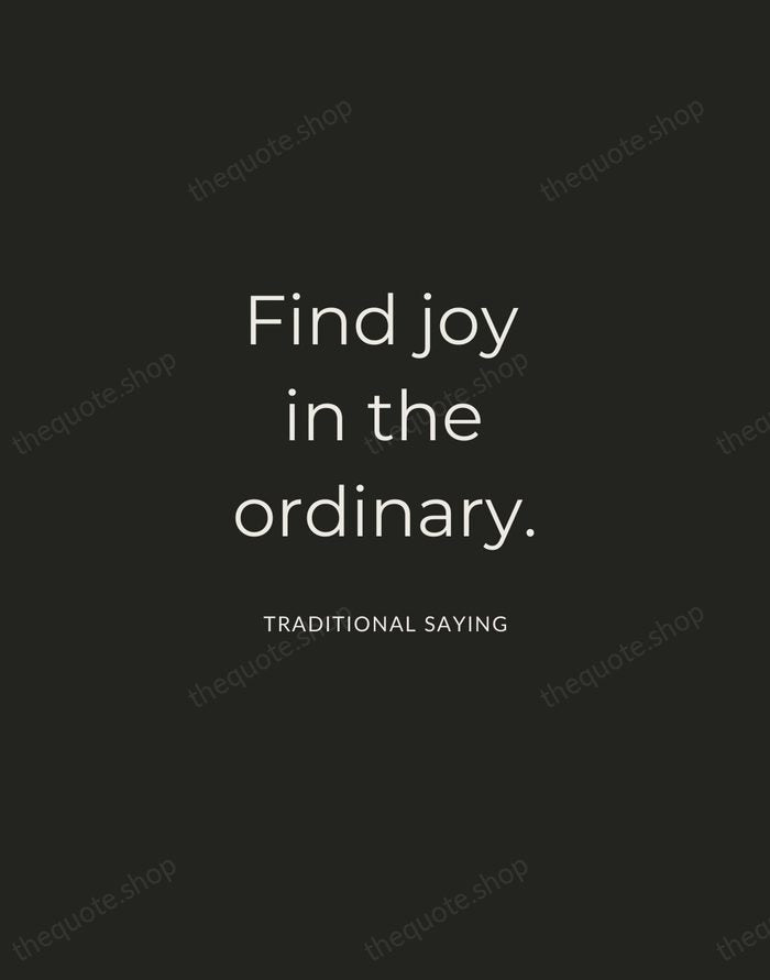 Find joy in the ordinary. — Traditional Saying — Charcoal Sans