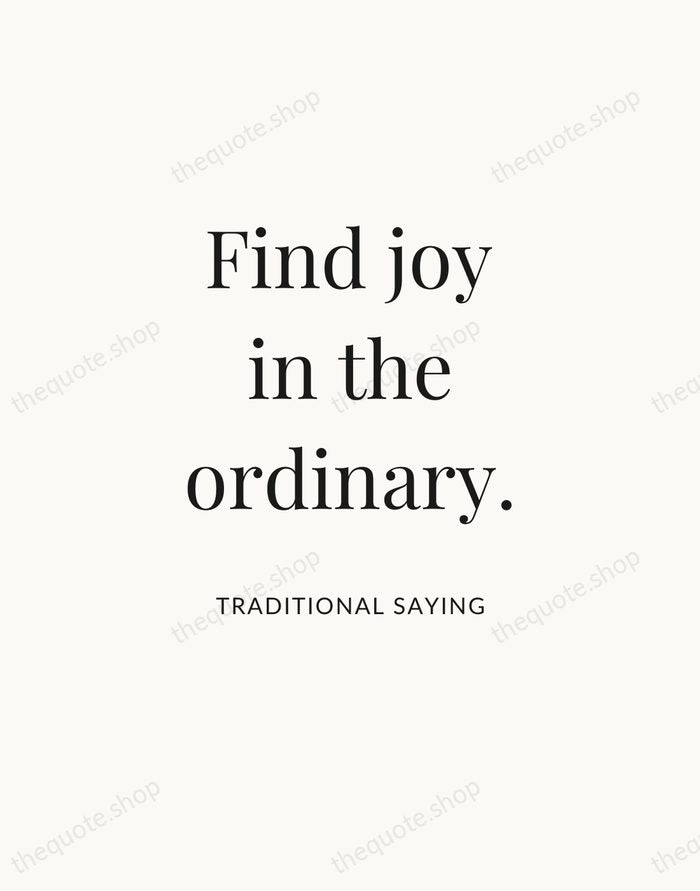 Find joy in the ordinary. — Traditional Saying — Statement Serif