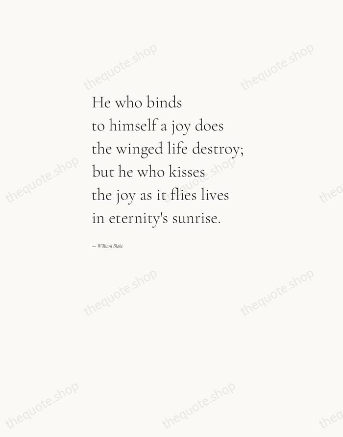 He who binds to himself a joy does the winged life destroy… — William Blake — Editorial Left Serif
