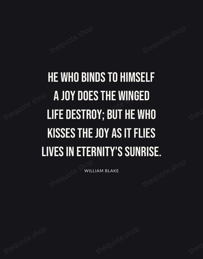 He who binds to himself a joy does the winged life destroy… — William Blake | Printable Wall Art — Poster Condensed