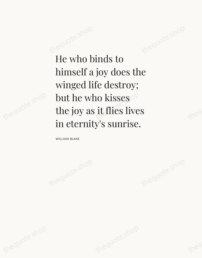He who binds to himself a joy does the winged life destroy… — William Blake — Asymmetric Left