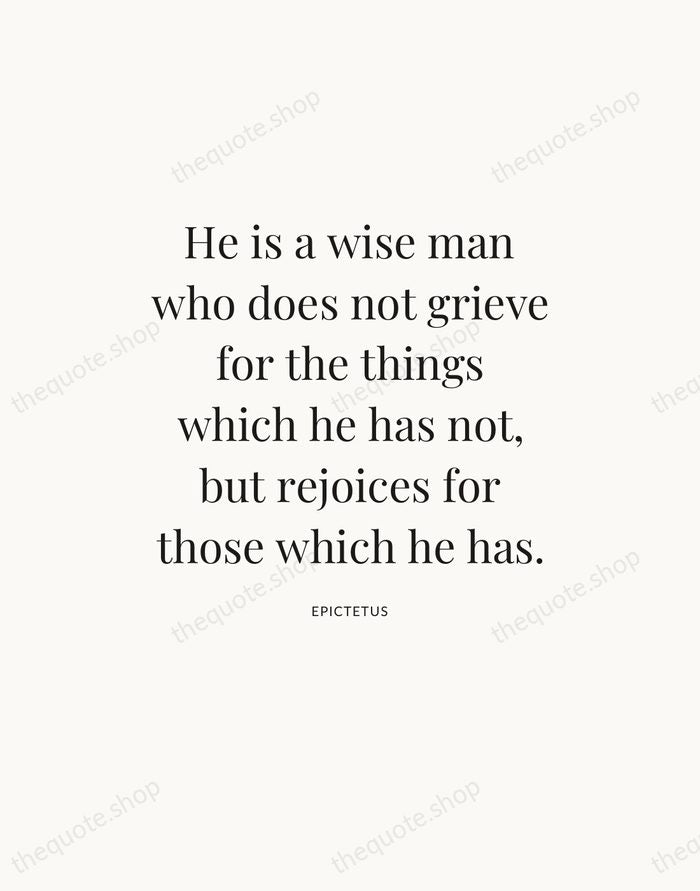 He is a wise man who does not grieve for the things… — Epictetus — Statement Serif