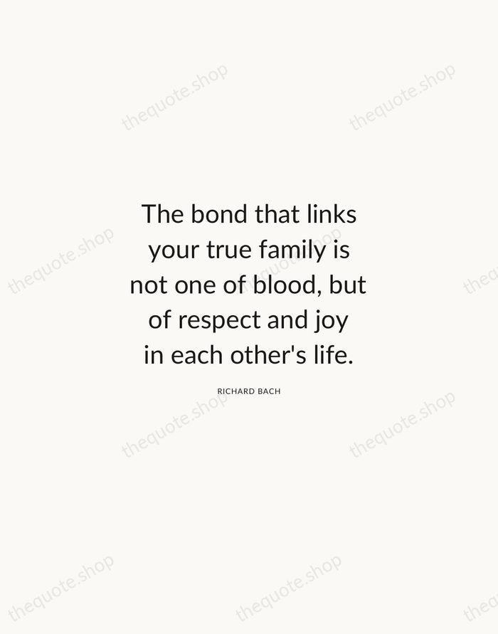 The bond that links your true family is not one of blood… — Richard Bach — Modern Sans Calm