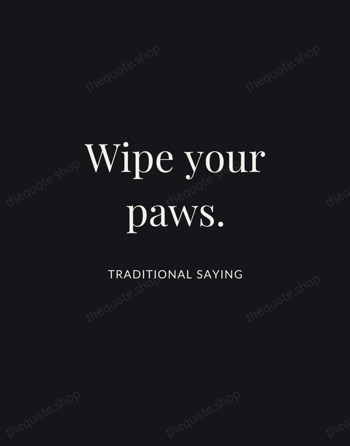 Wipe your paws. — Traditional Saying | Printable Wall Art — Midnight Serif