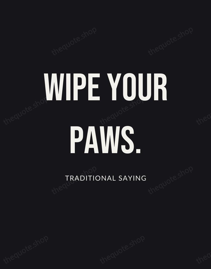 Wipe your paws. — Traditional Saying | Printable Wall Art — Poster Condensed