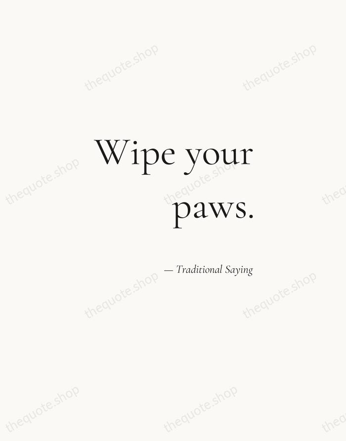 Wipe your paws. — Traditional Saying — Soft Serif Right