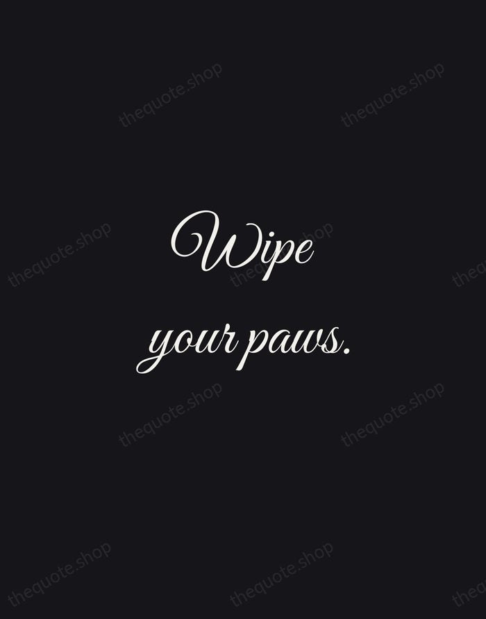 Wipe your paws. — Traditional Saying — Night Script