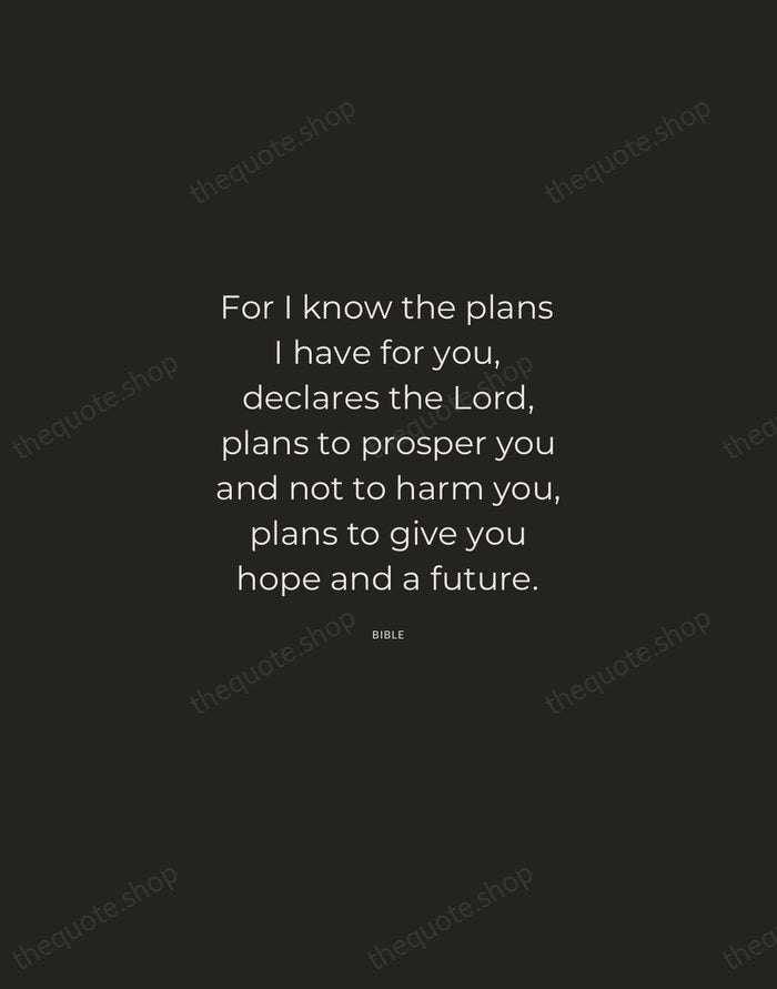 For I know the plans I have for you, declares the Lord… — Bible — Charcoal Sans