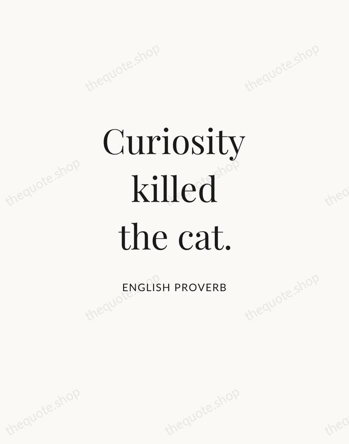 Curiosity killed the cat. — English Proverb | Printable Wall Art — Atelier Serif