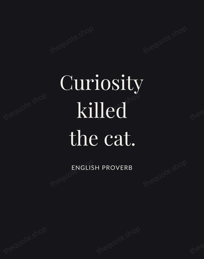Curiosity killed the cat. — English Proverb | Printable Wall Art — Midnight Serif