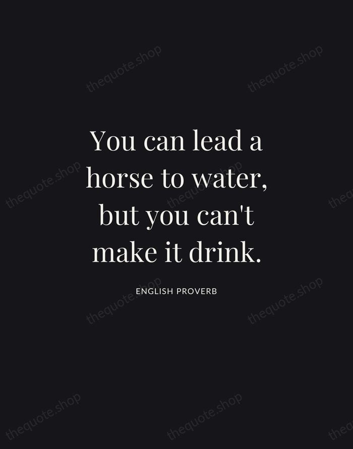 You can lead a horse to water, but you can't make it… — English Proverb | Printable Wall Art — Midnight Serif
