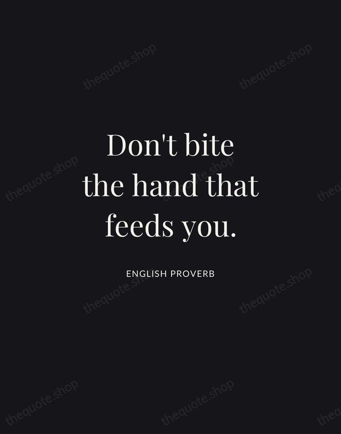 Don't bite the hand that feeds you. — English Proverb | Printable Wall Art — Midnight Serif