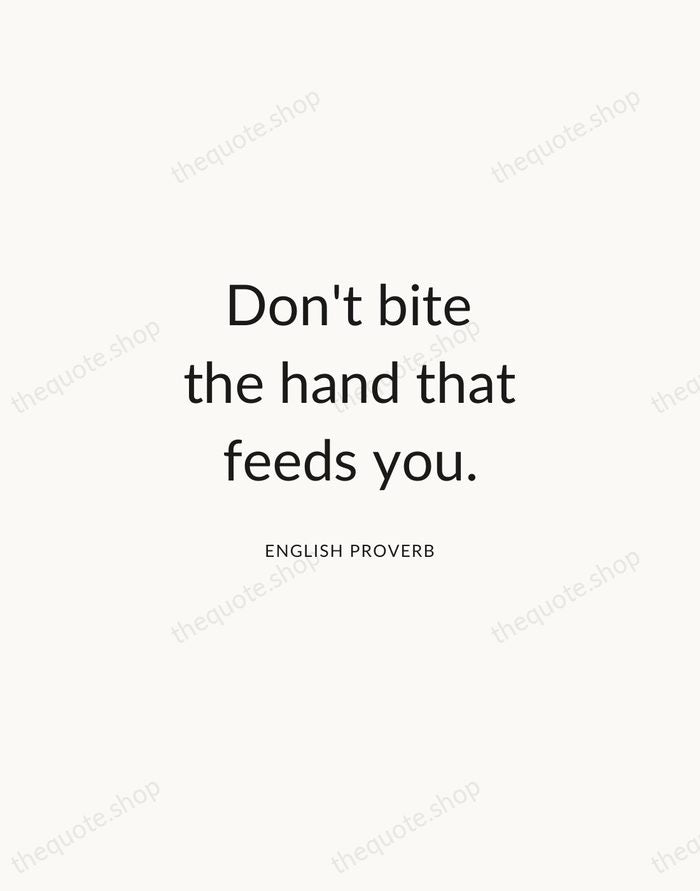Don't bite the hand that feeds you. — English Proverb — Modern Sans Calm