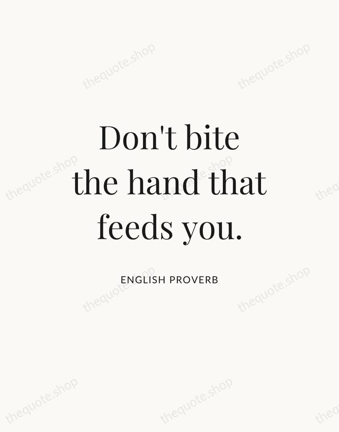Don't bite the hand that feeds you. — English Proverb — Statement Serif