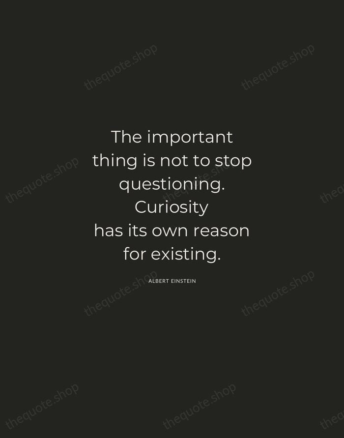 The important thing is not to stop questioning. Curiosity has its own… — Albert Einstein — Charcoal Sans