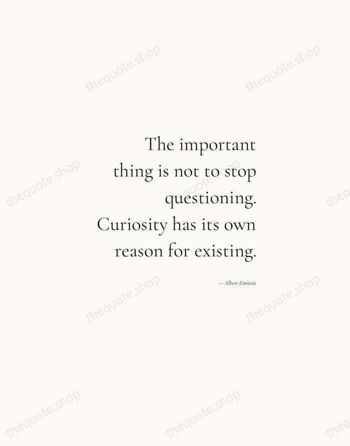The important thing is not to stop questioning. Curiosity has its own… — Albert Einstein — Soft Serif Right