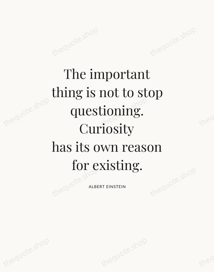 The important thing is not to stop questioning. Curiosity has its own… — Albert Einstein — Statement Serif