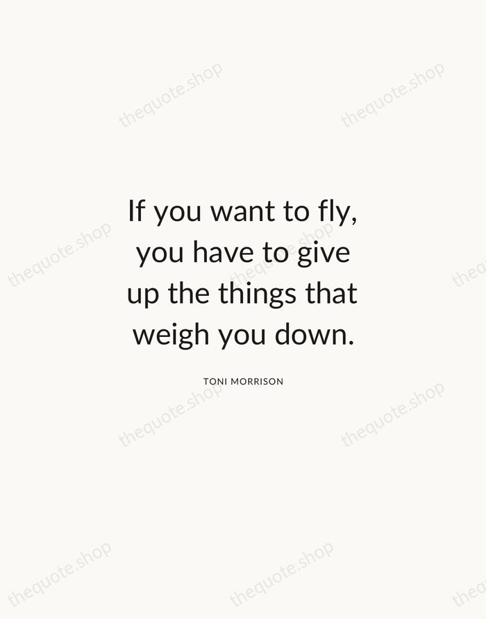 If you want to fly, you have to give up the things… — Toni Morrison — Modern Sans Calm