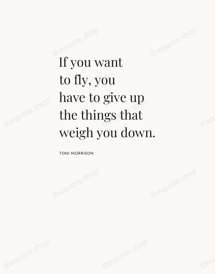 If you want to fly, you have to give up the things… — Toni Morrison — Asymmetric Left