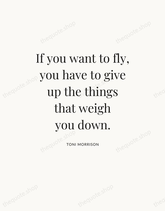 If you want to fly, you have to give up the things… — Toni Morrison — Statement Serif