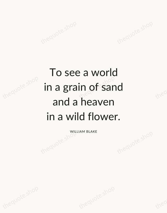 To see a world in a grain of sand and a heaven… — William Blake — Modern Sans Calm
