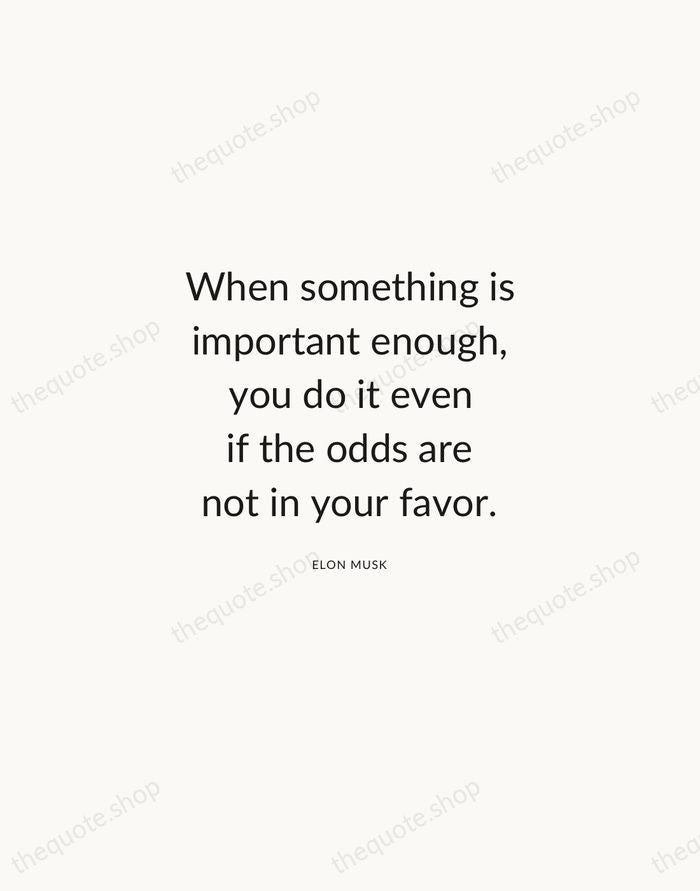 When something is important enough, you do it even if the odds… — Elon Musk — Modern Sans Calm