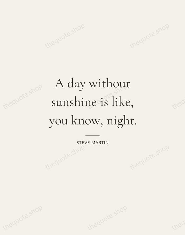 A day without sunshine is like, you know, night. — Steve Martin — Gallery Rule