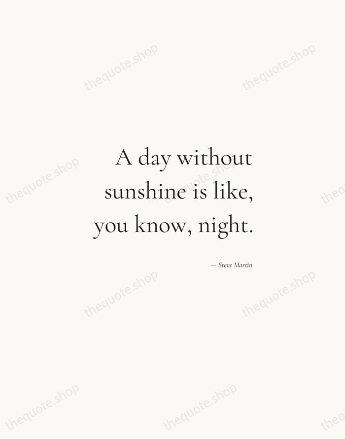 A day without sunshine is like, you know, night. — Steve Martin — Soft Serif Right