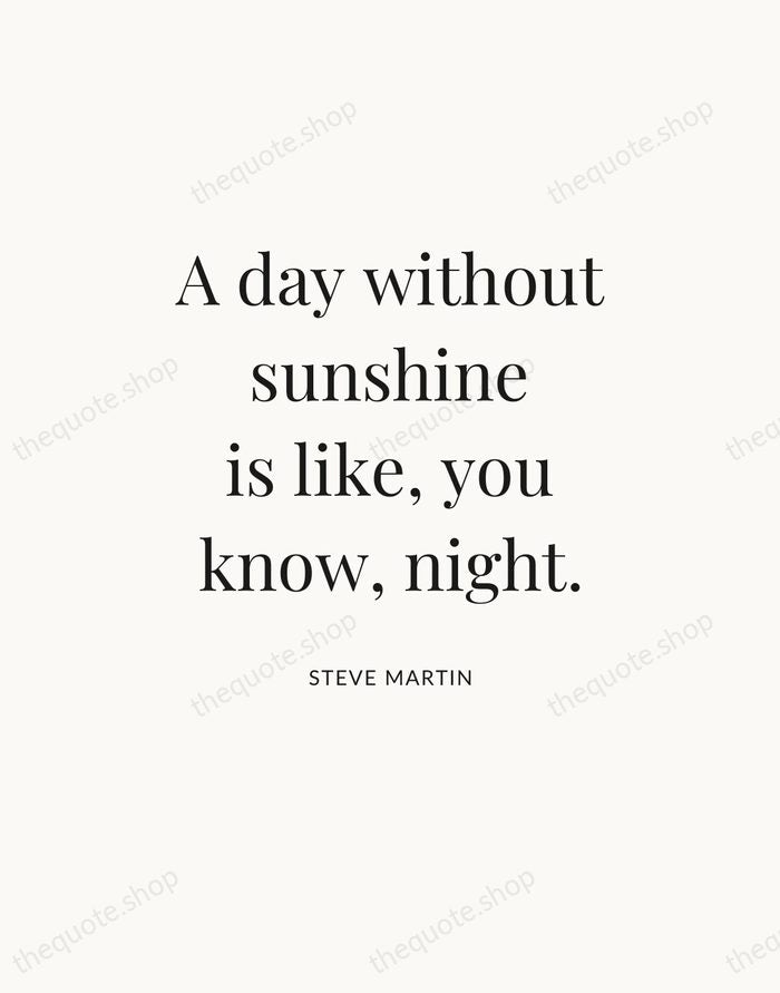 A day without sunshine is like, you know, night. — Steve Martin — Statement Serif