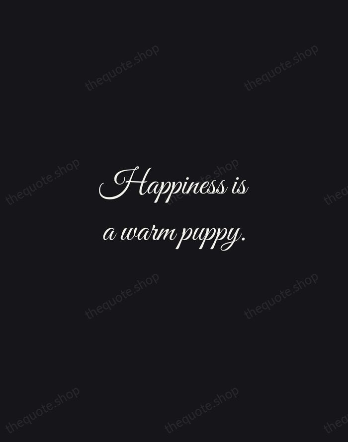 Happiness is a warm puppy. — Charles M. Schulz — Night Script