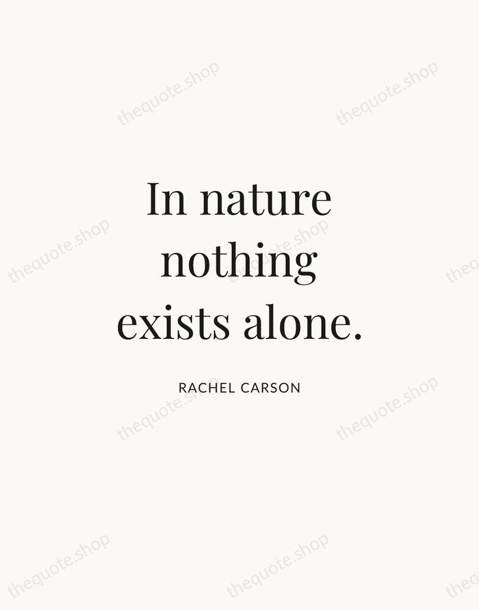 In nature nothing exists alone. — Rachel Carson | Printable Wall Art — Atelier Serif