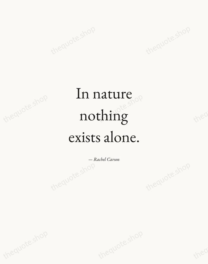 In nature nothing exists alone. — Rachel Carson — Quiet Garamond