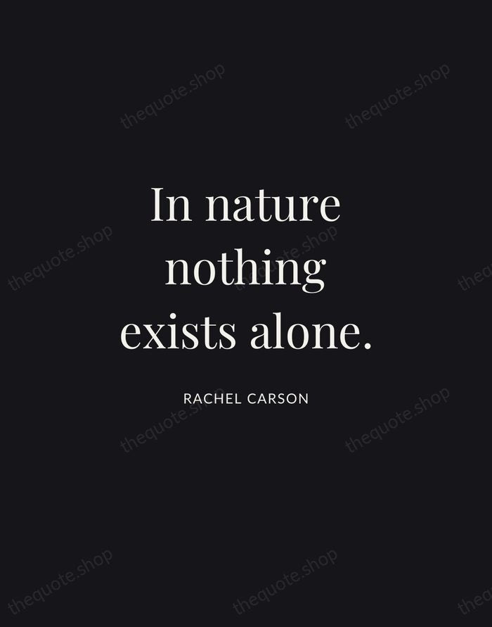 In nature nothing exists alone. — Rachel Carson | Printable Wall Art — Midnight Serif