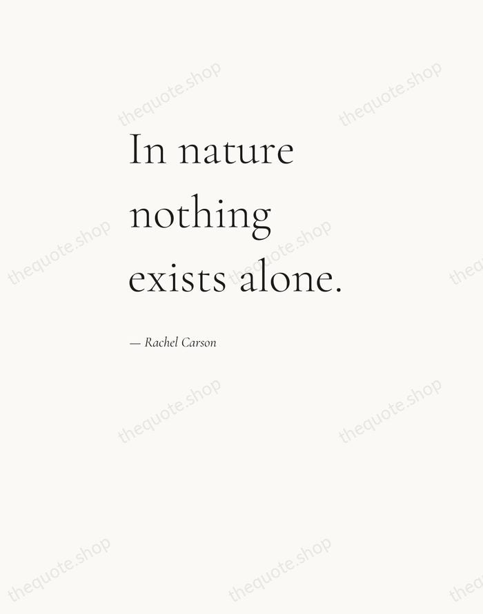 In nature nothing exists alone. — Rachel Carson — Editorial Left Serif