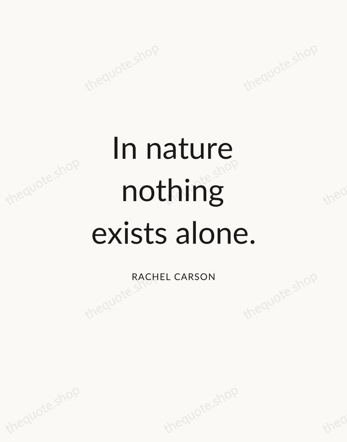 In nature nothing exists alone. — Rachel Carson — Modern Sans Calm