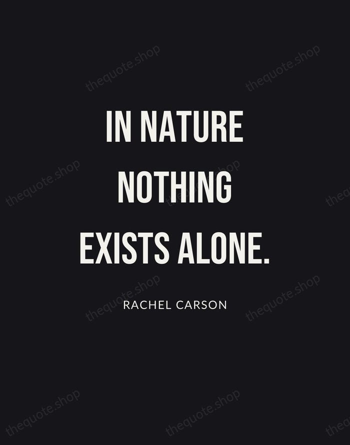 In nature nothing exists alone. — Rachel Carson | Printable Wall Art — Poster Condensed