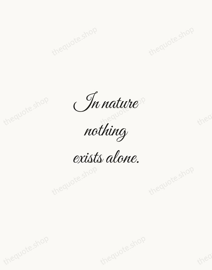In nature nothing exists alone. — Rachel Carson — Script Whisper