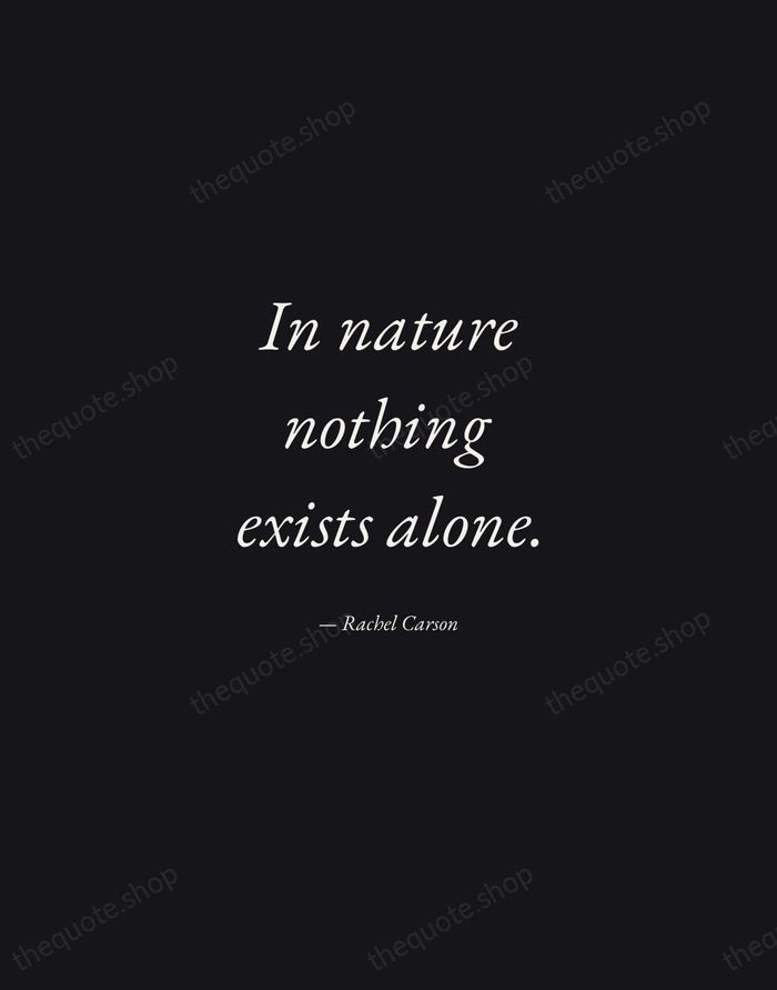 In nature nothing exists alone. — Rachel Carson — Manuscript Italic