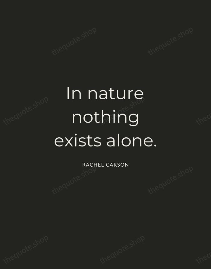 In nature nothing exists alone. — Rachel Carson — Charcoal Sans
